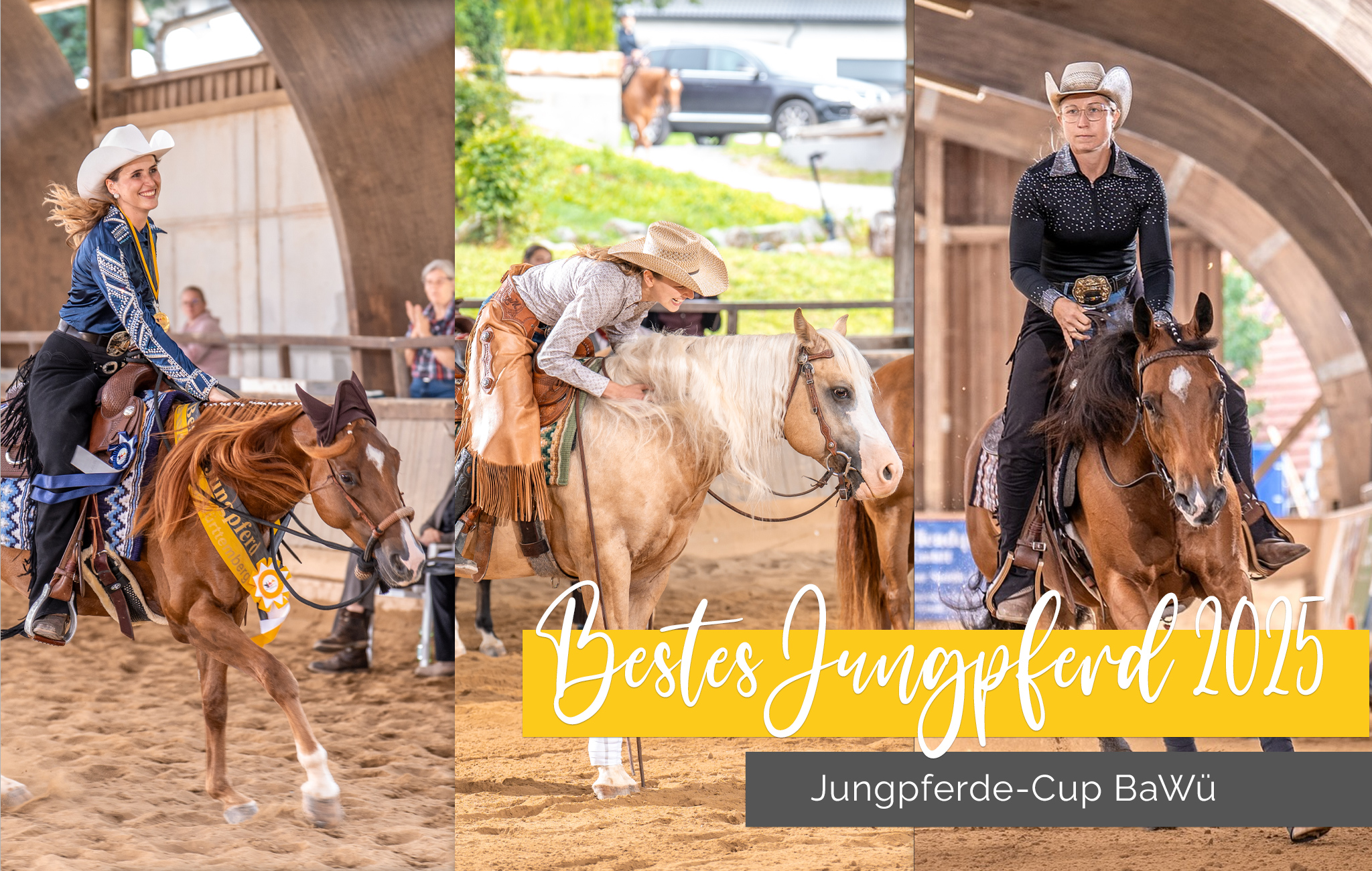 Endstand Bawü Jungpferdecup 2025