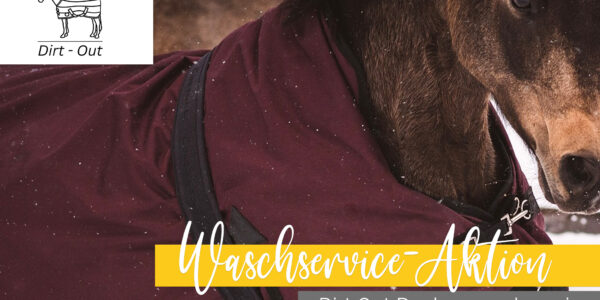 DirtOut Deckenwaschservice – Rabattaktion zur LM