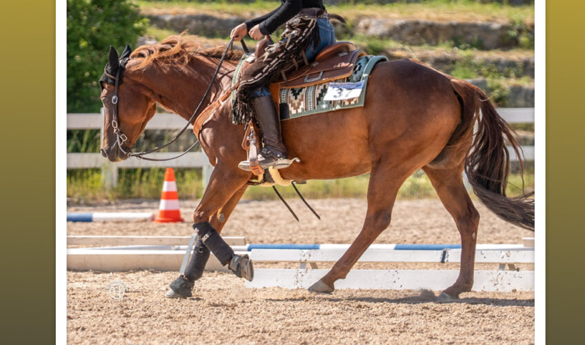 kadervorstellung-jugendliche-antonia-wiedenmayer