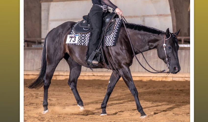 kadervorstellung-jugendliche-paulina-salibrici